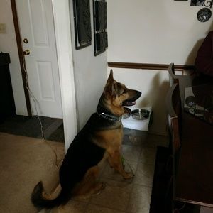 Meet your Posher, Jaikario